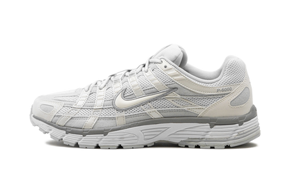 P-6000 WMNS"Summit White Pure Platinum" FV6603 101
