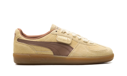 Palermo OG "Chamomile Brown Mushroom" 397251 01