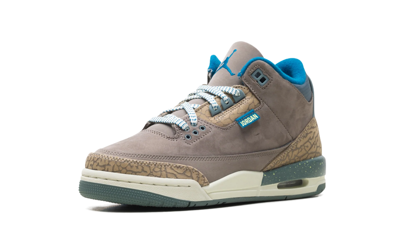 Air Jordan 3 GS "We Outside" IB7066 001
