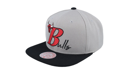 NBA Top Letter Snapback Cap "Chicago Bulls - Grey" HHSS6582 CBUYYPPPGREY