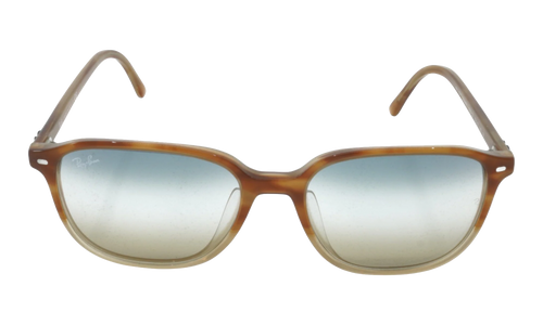 LEONARD SUNGLASSES "GRADIENT LIGHT BROWN" RB2193F-1328-GD_55