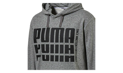 Rebel Bold Hoodie "Gray" 853390 03