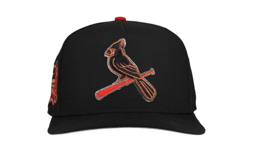 9FIFTY St. Louis Cardinals Busch Stadium A Frame Snapback Hat "Black Metallics" NE384