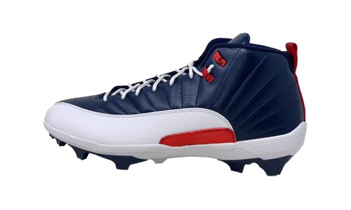 Jordan 12 Force Savage 3 PE "Howard Bison'" FJ6223 416