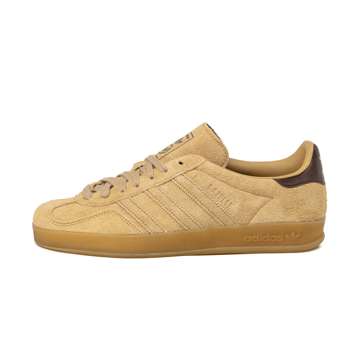 Gazelle Indoor
