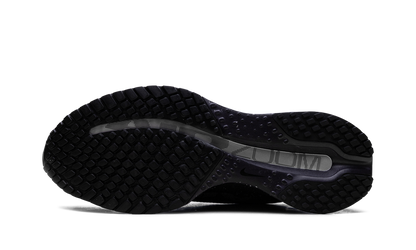 Pegasus Premium SE WMNS"Cave Purple" IH0861 500