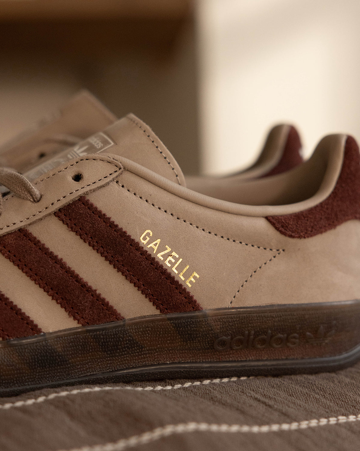 Gazelle Indoor