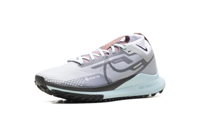 React Pegasus Trail 4 Gore-Tex WMNS "Light Smoke Grey Glacier Blue Football Grey Black" DJ7929 005