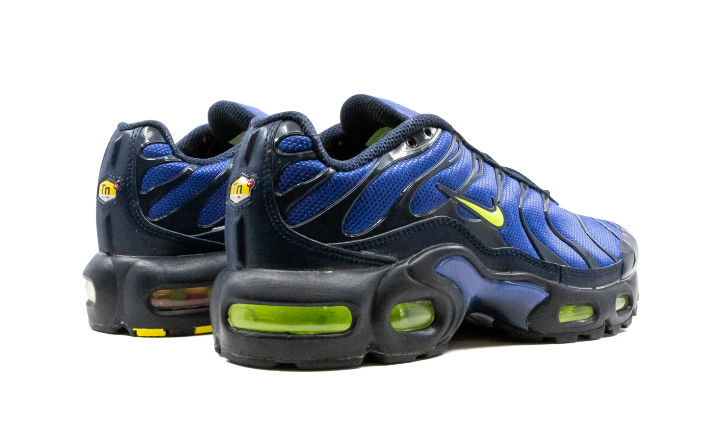 Air Max Plus (GS) CD0609 401