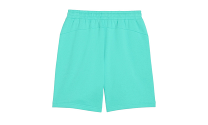 BMW MOTORSPORT ESS+ FLEECE SHORTS "Green" 633286 17