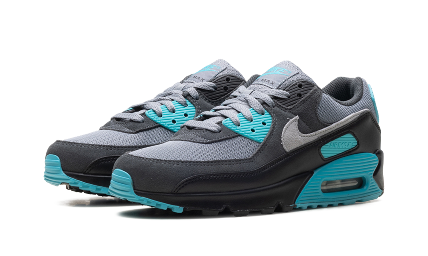 Air Max 90 "Dusty Cactus" DM0029 013