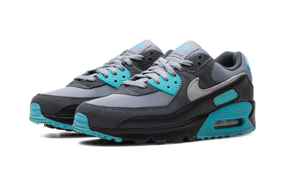 Air Max 90 "Dusty Cactus" DM0029 013