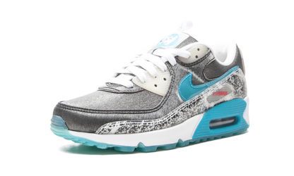 AIR MAX 90 MNS WMNS "Rice Ball" DD5483 010