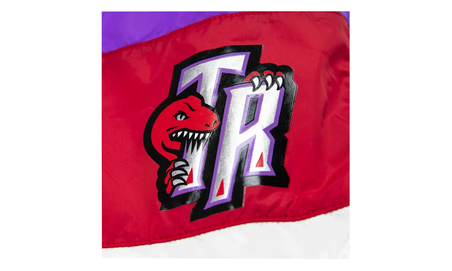 NBA Striped Short "Toronto Raptors - Purple" SHORBW19051 TRAPTPR