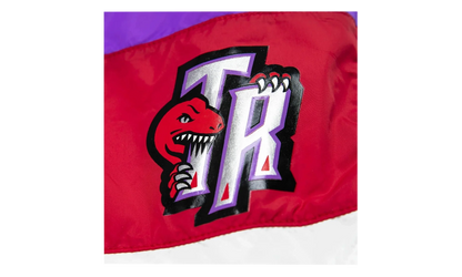 NBA Striped Short "Toronto Raptors - Purple" SHORBW19051 TRAPTPR