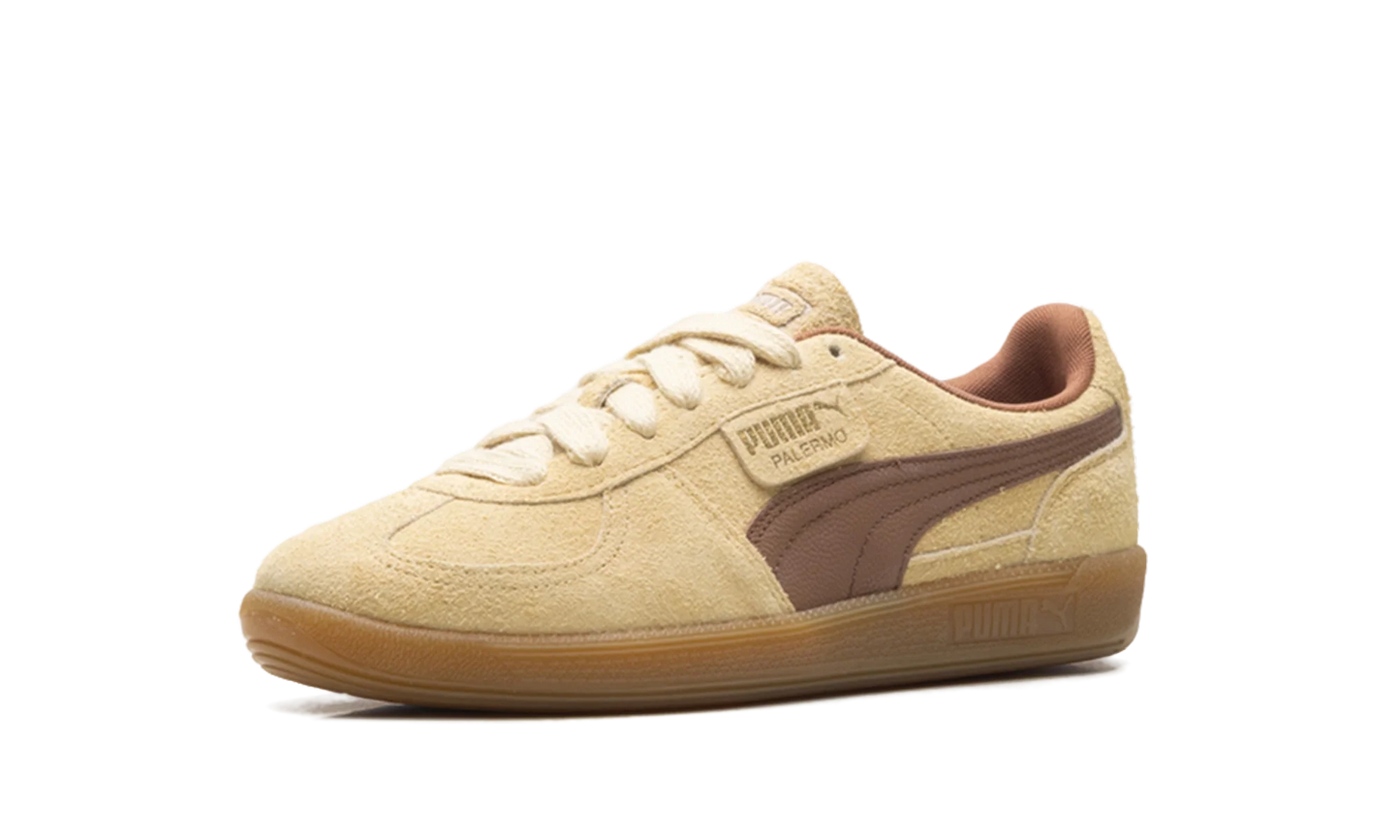 Palermo OG "Chamomile Brown Mushroom" 397251 01