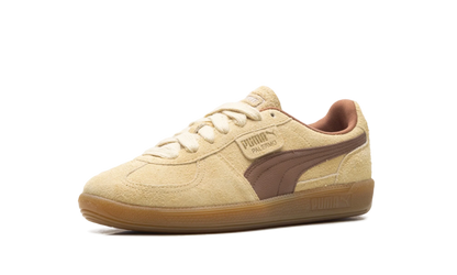 Palermo OG "Chamomile Brown Mushroom" 397251 01