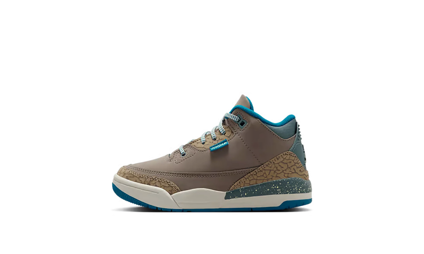 Air Jordan 3 PS "We Outside" IB7064 001