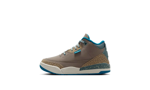 Air Jordan 3 PS "We Outside" IB7064 001