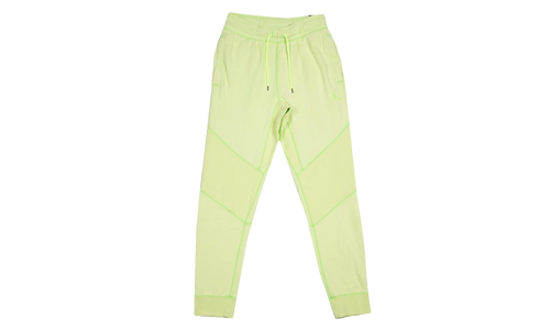 Jordan MJ Wings Washed Fleece Pants "Ghost Green" CD4575 380