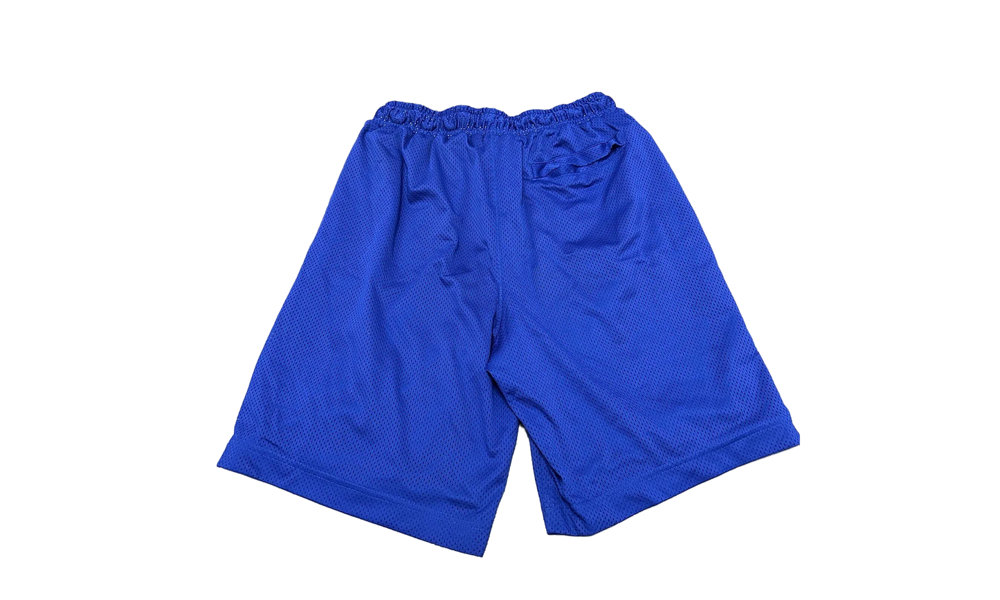 Air Jordan AJ11 Legacy Mesh Shorts "Germain Blue / Black" BQ0199 494