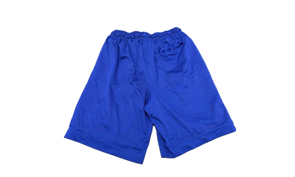 Air Jordan AJ11 Legacy Mesh Shorts "Germain Blue / Black" BQ0199 494