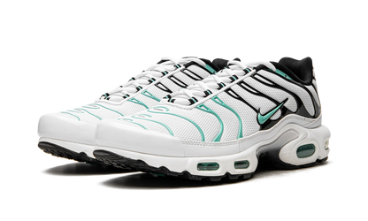 Air Max Plus "Atmos" 604133 148