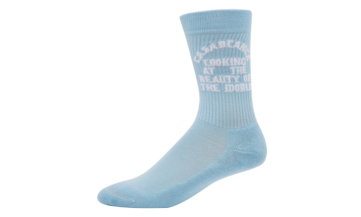 Beauty of The World Socks "Pale Blue" AS25 ACC 010 04 PALE
