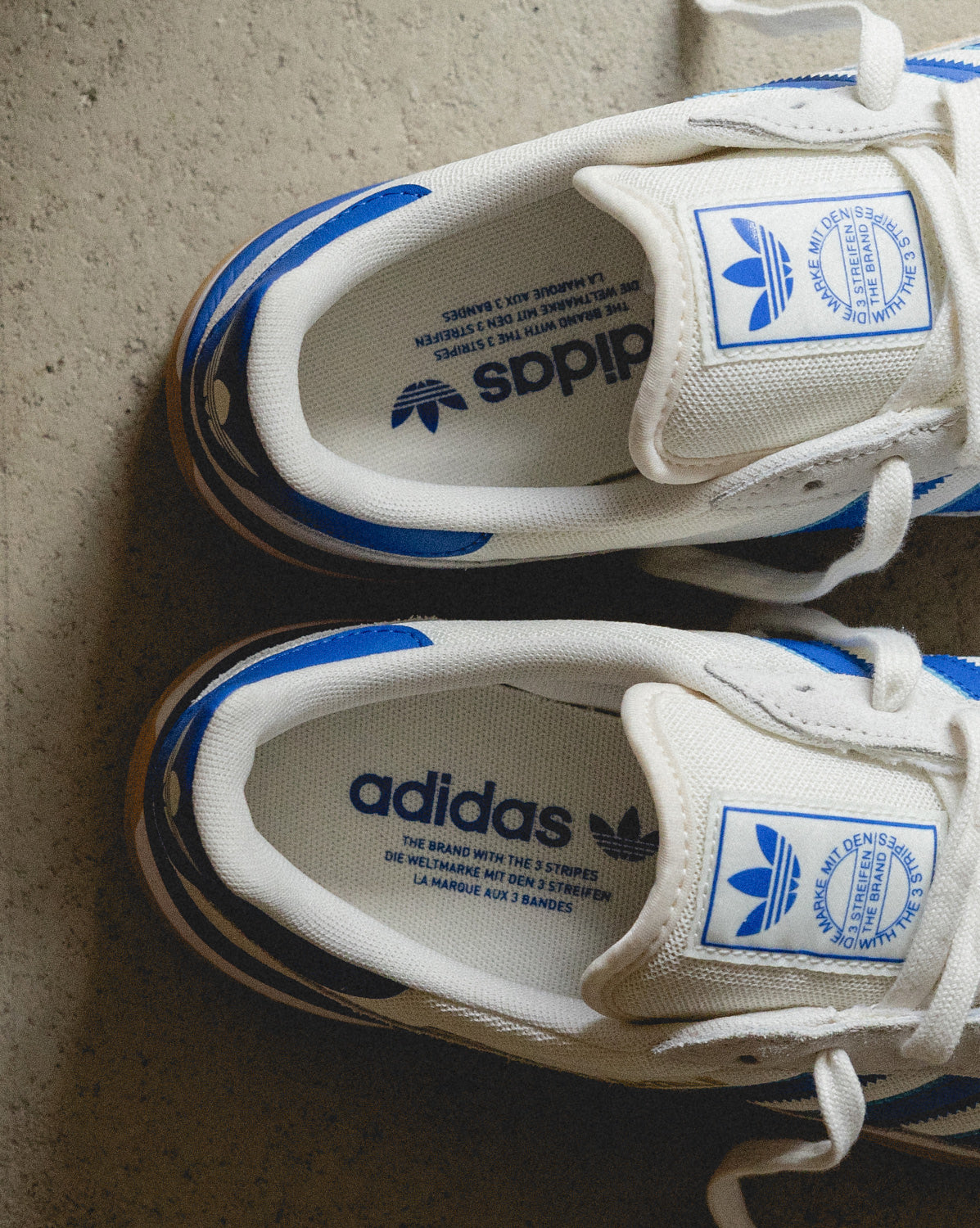 Gazelle Sala