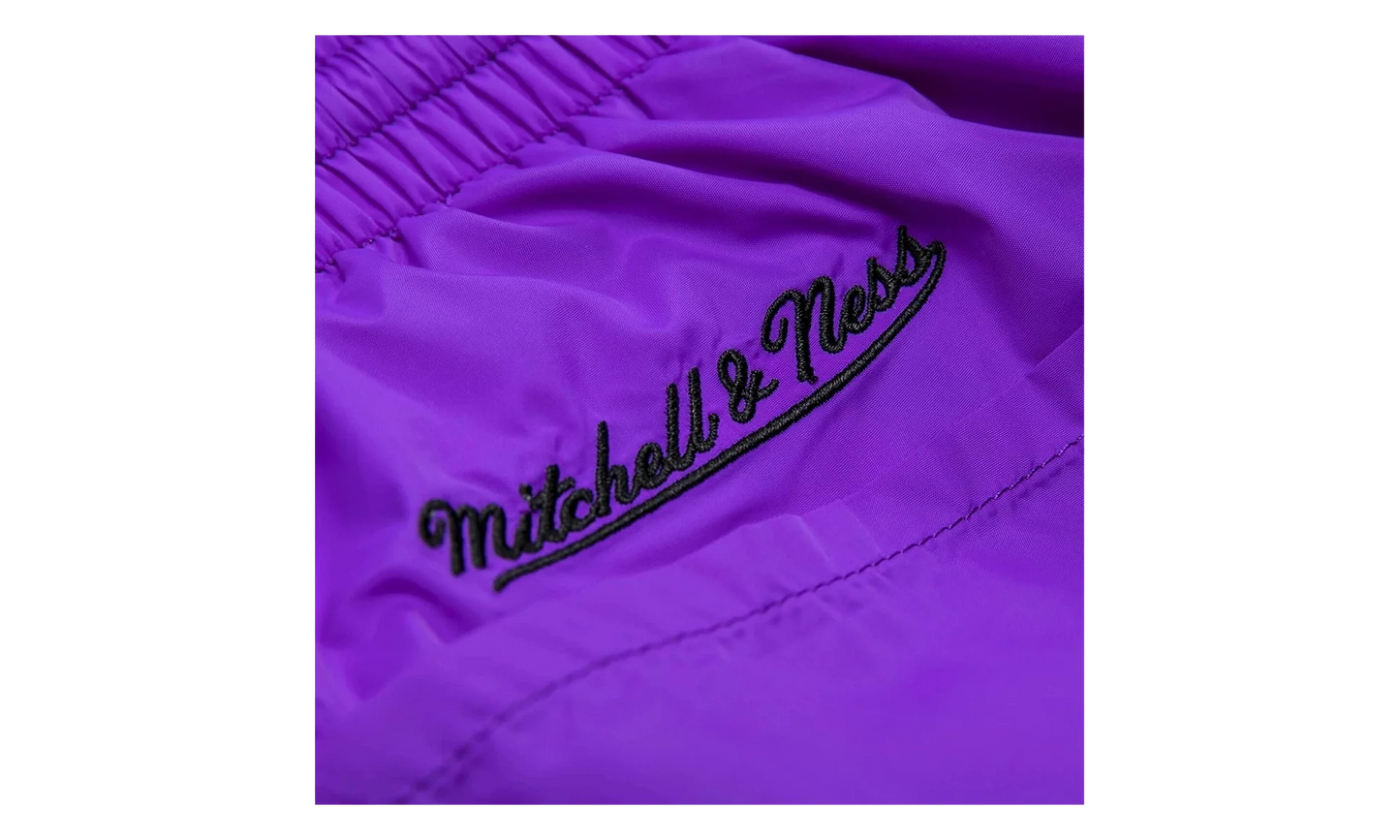 NBA Striped Short "Toronto Raptors - Purple" SHORBW19051 TRAPTPR