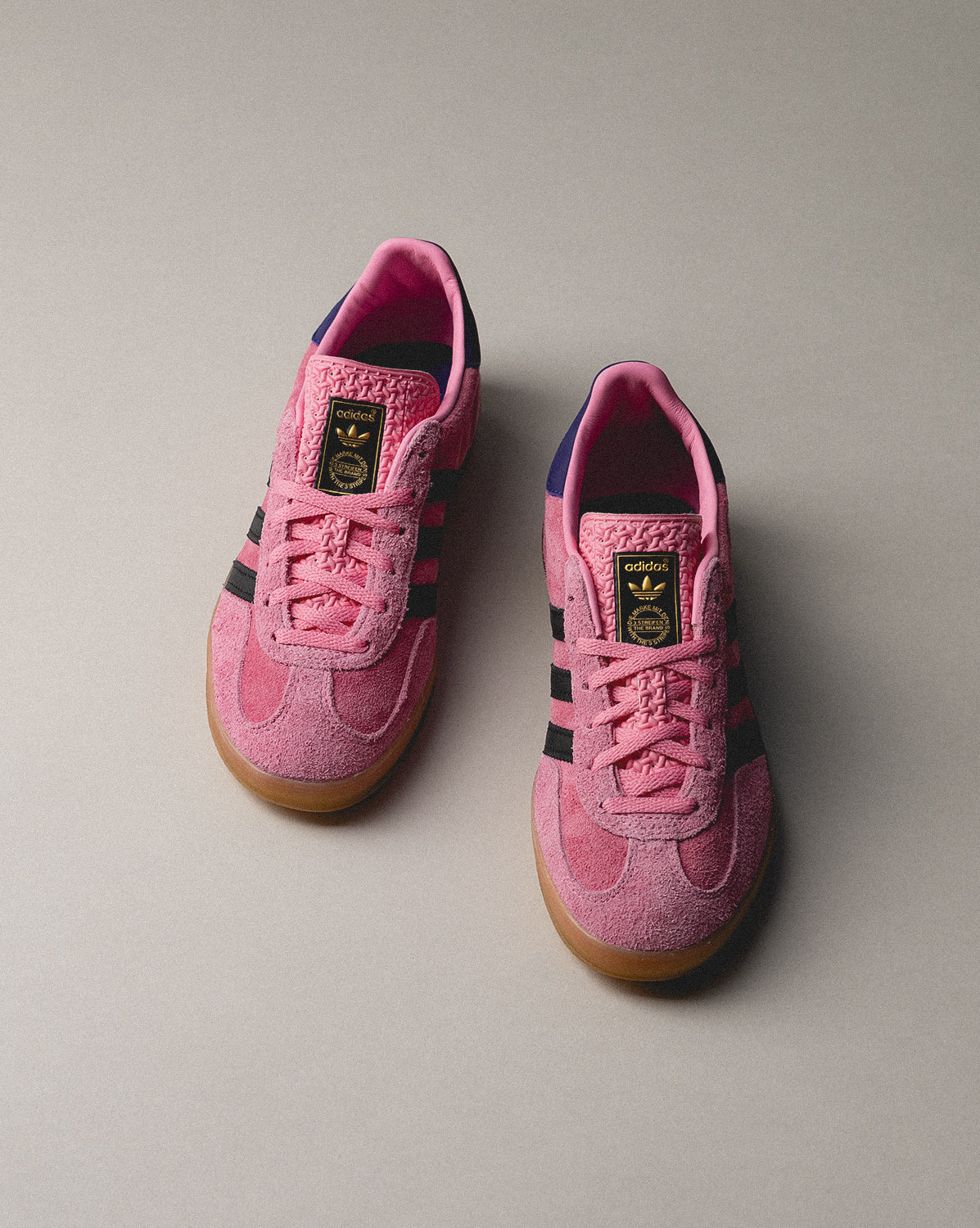Gazelle Indoor W