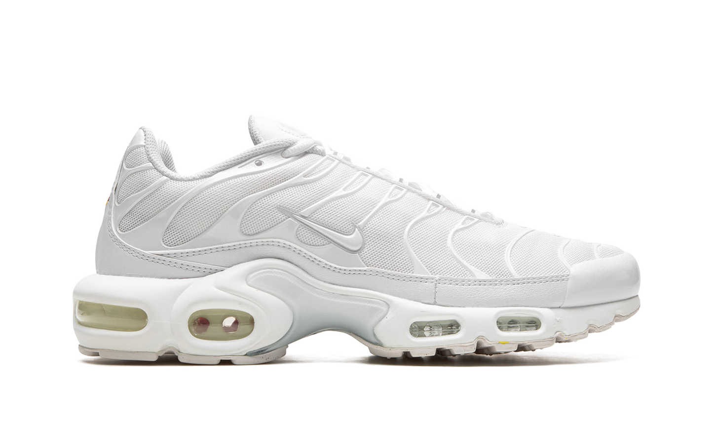 AIR MAX PLUS WMNS"Pure Platinum" DM2362 100