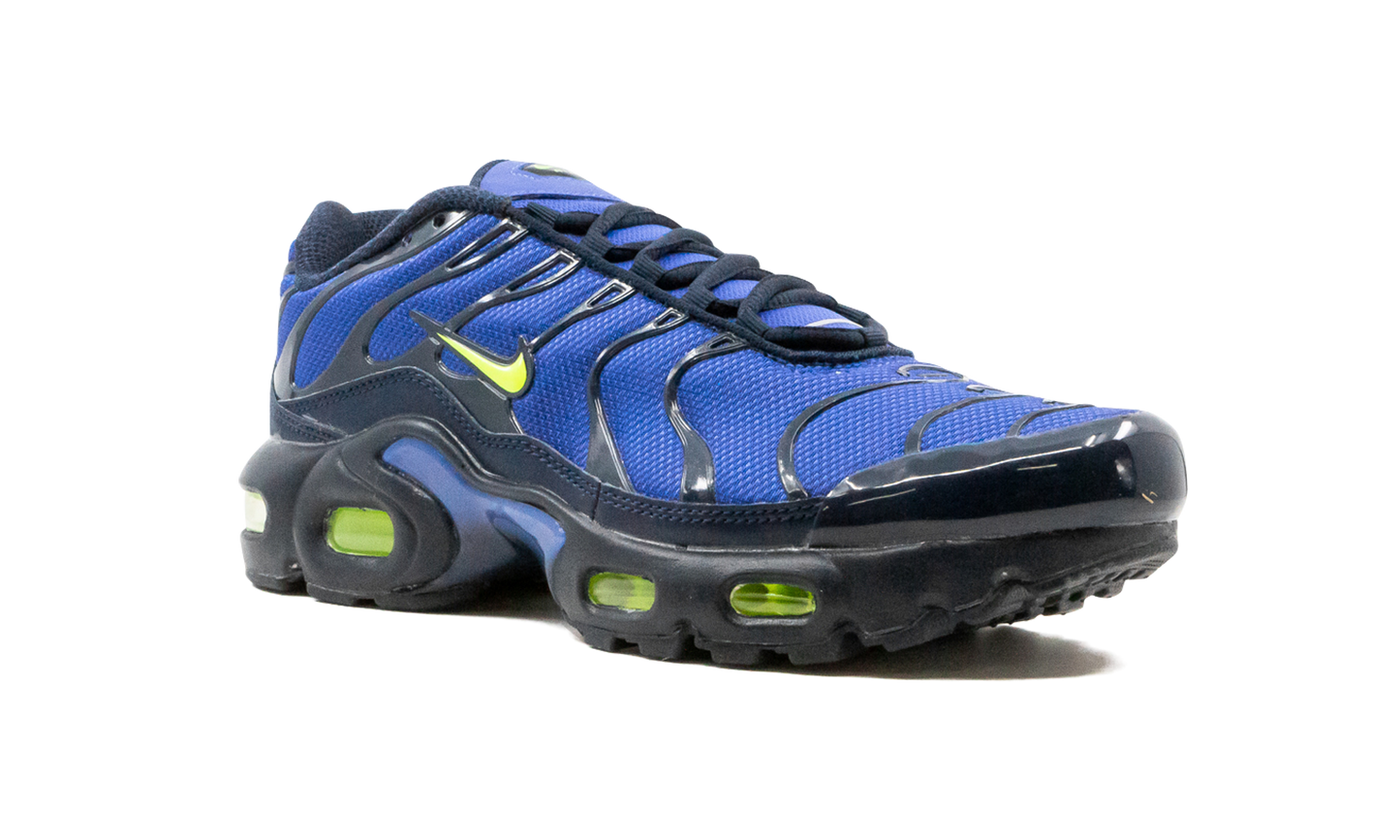 Air Max Plus (GS) CD0609 401