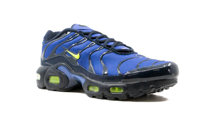 Air Max Plus (GS) CD0609 401