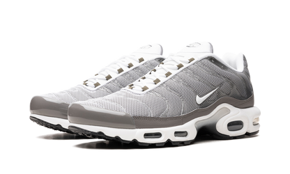 Air Max Plus SE "Flat Pewter" DV7665 002