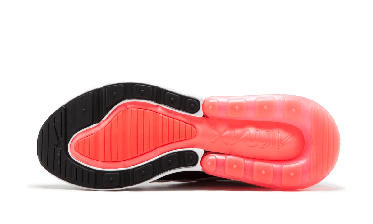 Air Max 270 AH8050 003