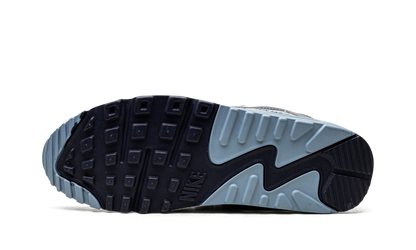 Air Max 90 "Pure Platinum Warm Blue" DM0029 003