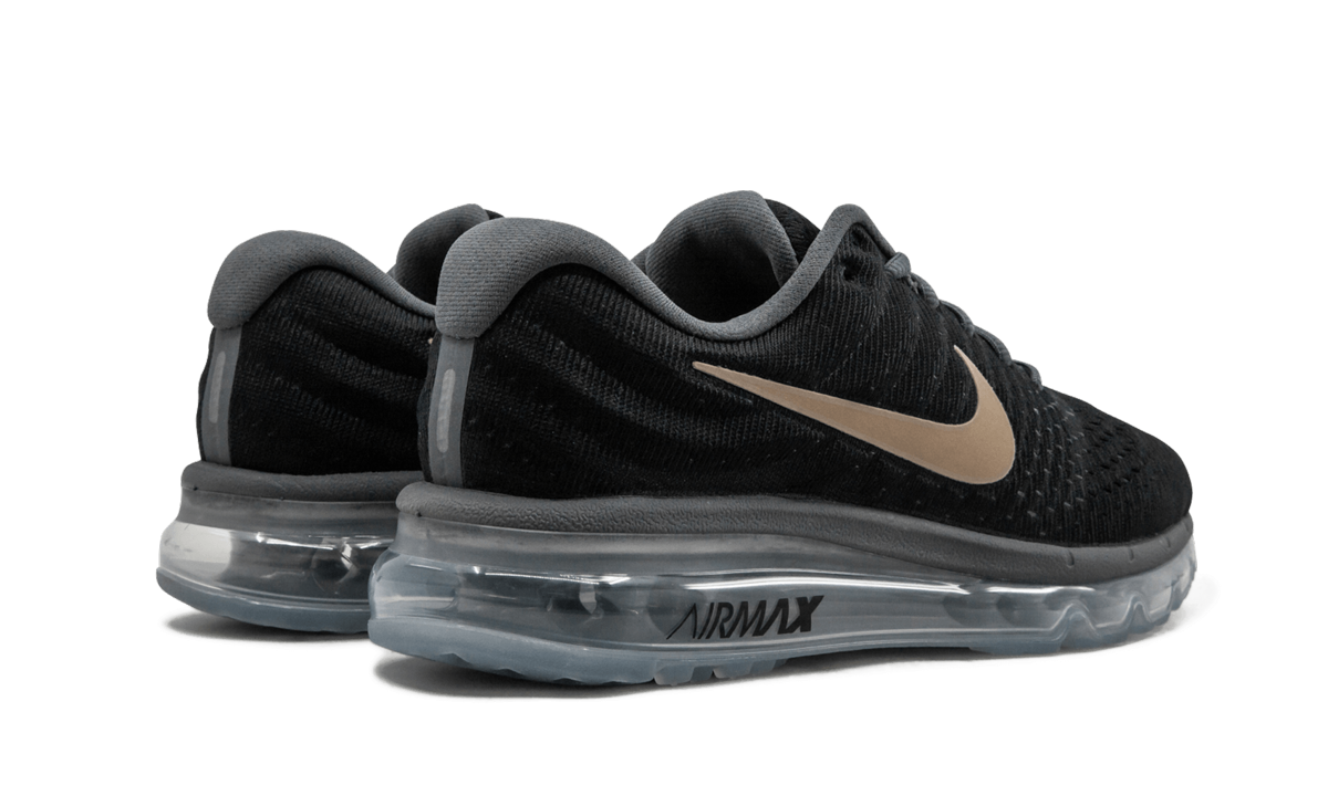 AIR MAX 2017 MNS WMNS "Bronze" 849560 008