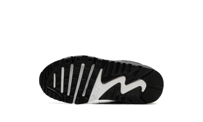 Air Max 90 "Black White" CD6867 010