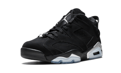 6 Retro Low "Metallic Silver" 304401 003