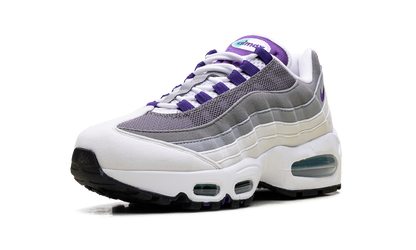 Air Max 95 WMNS"Grape" HJ5996 100