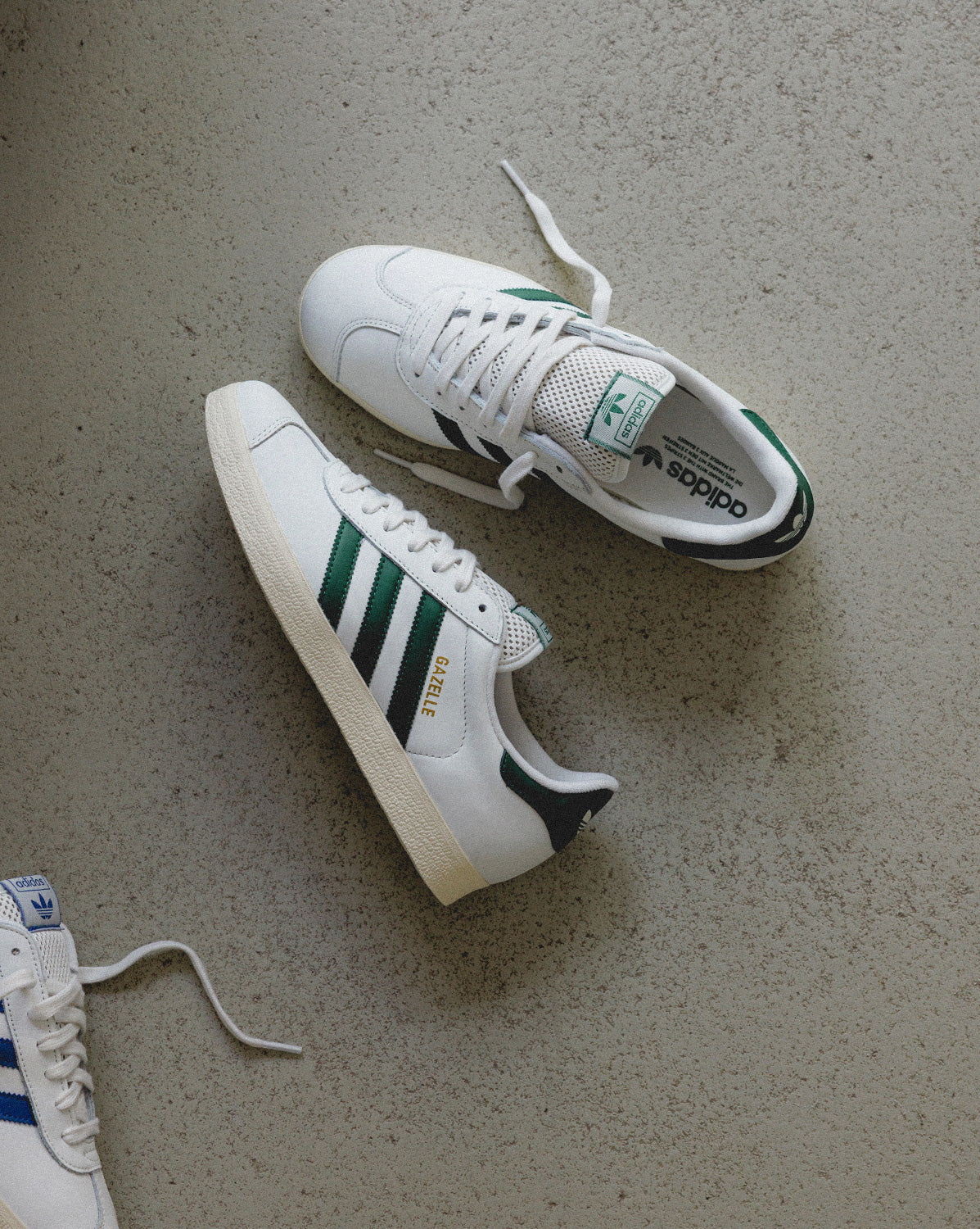 Gazelle