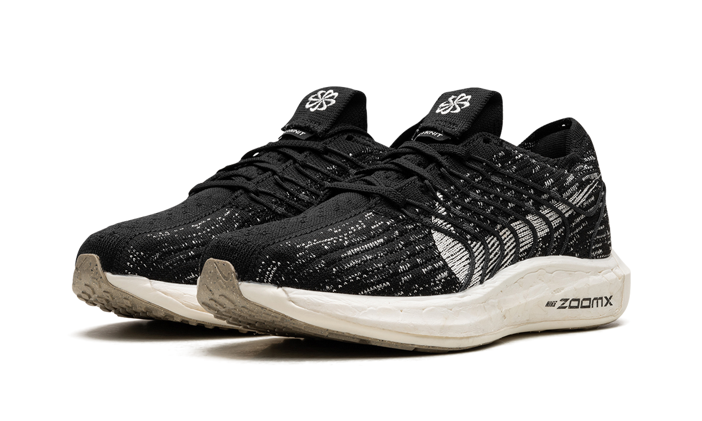 PEGASUS TURBO NEXT NATURE WMNS"Black Sail" DM3414 001