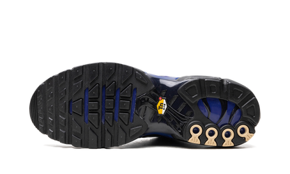 AIR MAX PLUS "Black" FQ7331-001