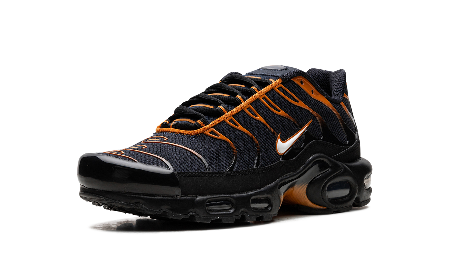 Air Max Plus "OBSIDIAN MONARCH" FN6949 400