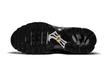 AIR MAX PLUS (GS) "AIR MAX PLUS (GS)" 655020 053
